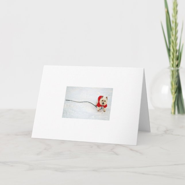 Cartão De Festividades Westie in the Snow (Frente)