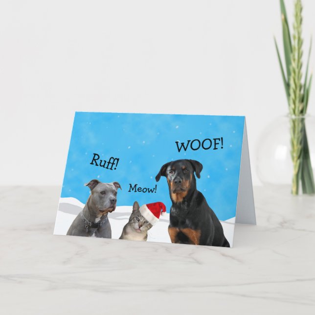 Cartão De Festividades What Did You Expect Christmas Card (Frente)