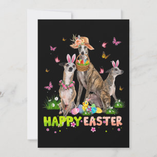 Cartão De Festividades Whippet Coelho da Páscoa Feliz Ovos Presente de Pá