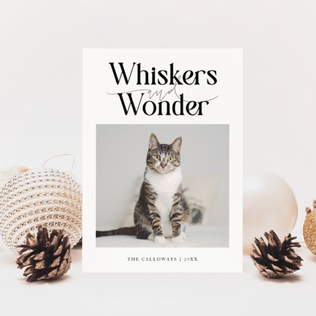 Cartão De Festividades Whiskers & Wonder Cat Photo White Christmas (Criador carregado)