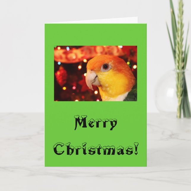 Cartão De Festividades White Bellied Caique Parrot Merry Christmas (Frente)