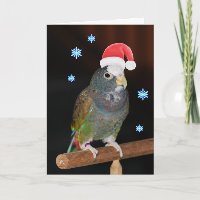 Cartão De Festividades White-capped Pionus Santa Greetings (Frente)