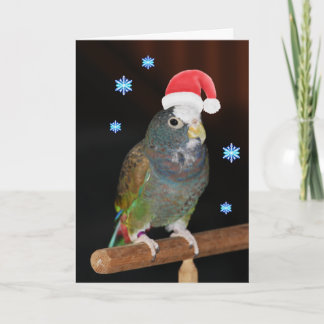 Cartão De Festividades White-capped Pionus Santa Greetings