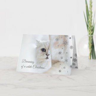 Cartão De Festividades White Christmas Cute Cat Holiday Card