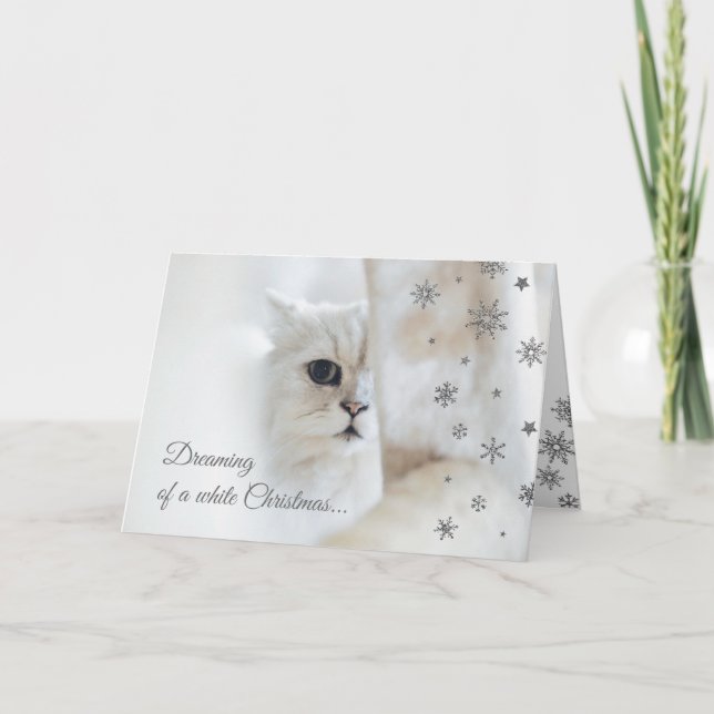 Cartão De Festividades White Christmas Cute Cat Holiday Card (Frente)