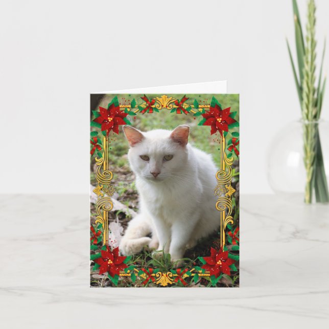 Cartão De Festividades White Christmas Dream Cat Holiday Card Folded (Frente)