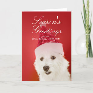 Cartão De Festividades White dog with Santa hat