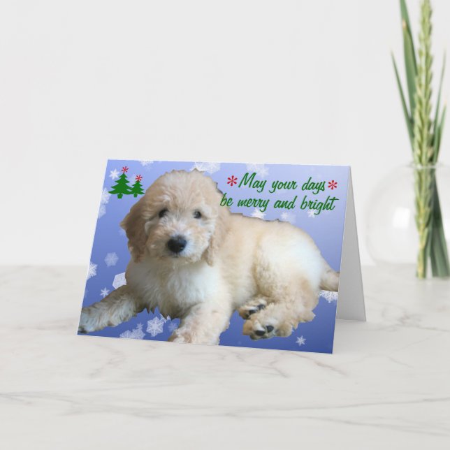 Cartão De Festividades White Golden Doodle Christmas Holiday (Frente)
