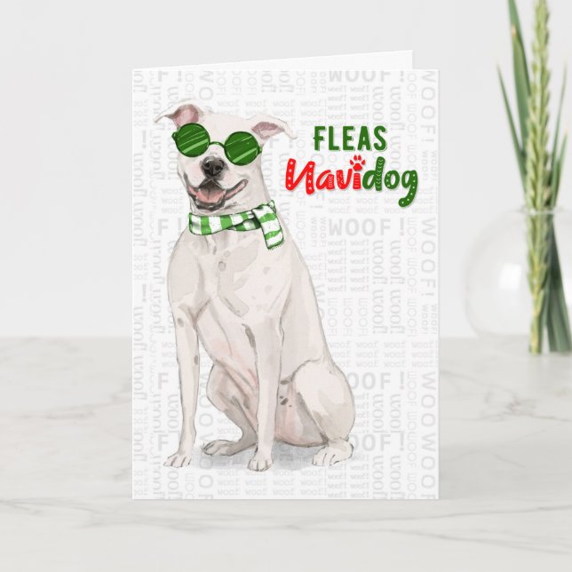 Cartão De Festividades White Pit Bull Cão Engraçado Fleas Navidog Natal (Frente)