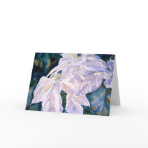 White Poinsettia Greeting Card