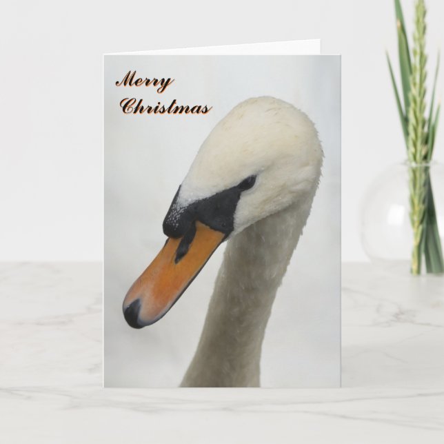 Cartão De Festividades White Swan Christmas Card (Frente)