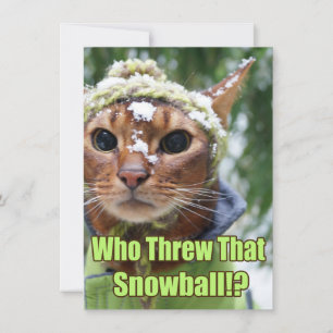 Cartão De Festividades Who Threw That Snowball!? Flat Cards - Box of 10