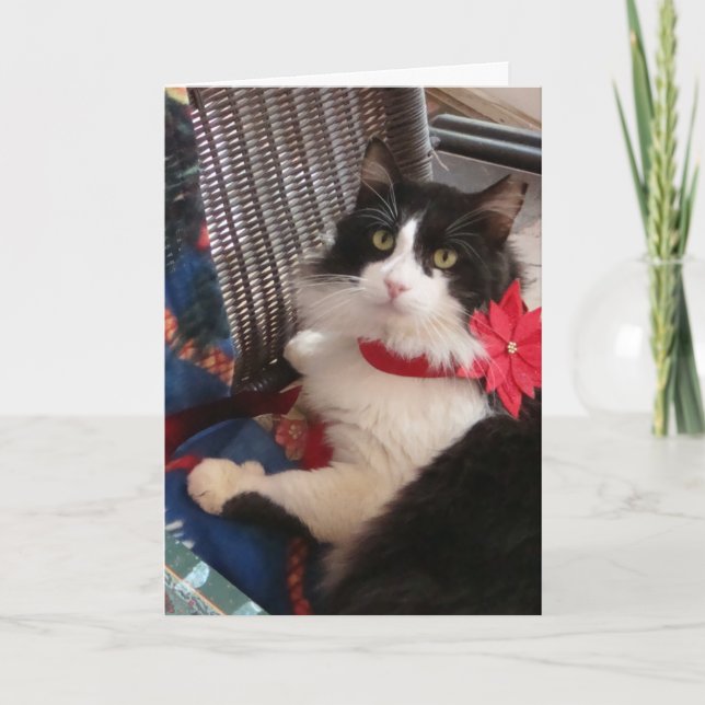 Cartão De Festividades Wilbur's holiday greeting card (Frente)