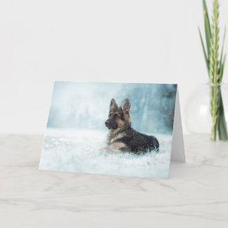 Cartão De Festividades Winter