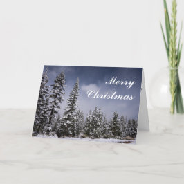 Cartão De Festividades Winter Again Christmas Card