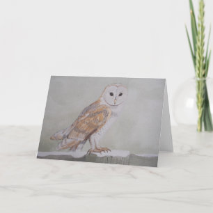 Cartão De Festividades Winter Barn Owl Greetings Card