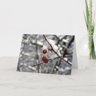 Cartão De Festividades Winter Berries