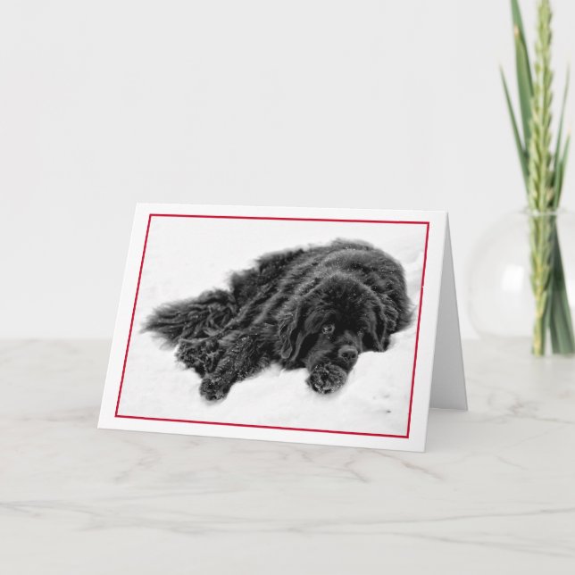 Cartão De Festividades Winter Dreams (Frente)