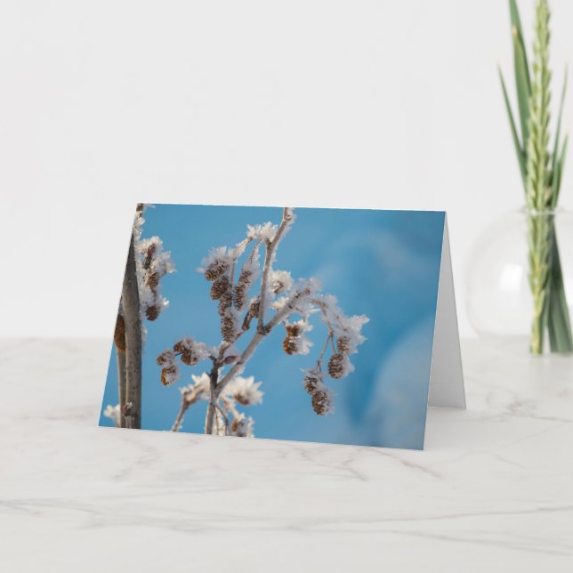 Cartão De Festividades Winter frost (Frente)