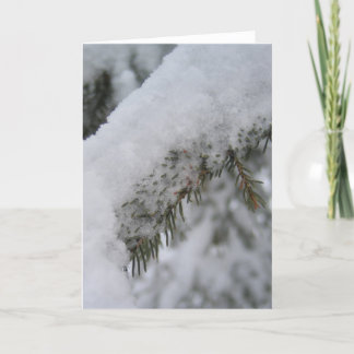 Cartão De Festividades Winter Greeting Card 1