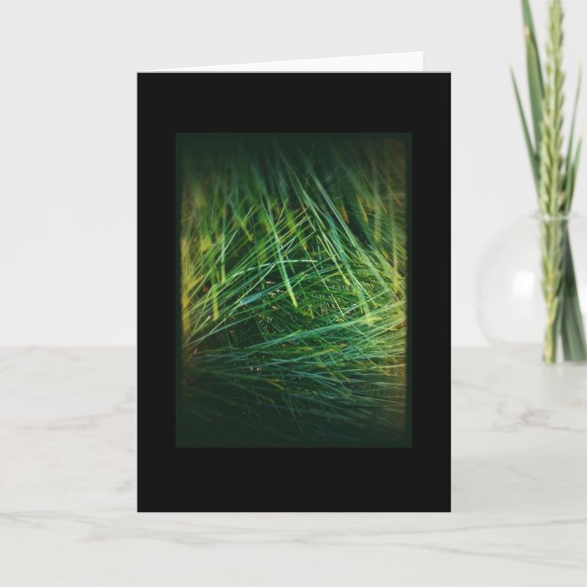 Cartão De Festividades Winter Holiday 1 Card (Frente)