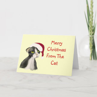 Cartão De Festividades Winter Kitten,