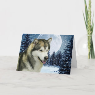 Cartão De Festividades Winter Malamute Card
