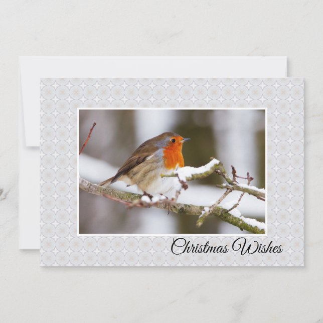 Cartão De Festividades Winter Robin Flat Christmas Card (Frente)
