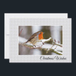 Cartão De Festividades Winter Robin Flat Christmas Card<br><div class="desc">This Christmas card features a photo of a sweet robin redbreast on a snowy winter branch.  The "Christmas Wishes" text on the front and the greeting on the back are completely customizable.</div>