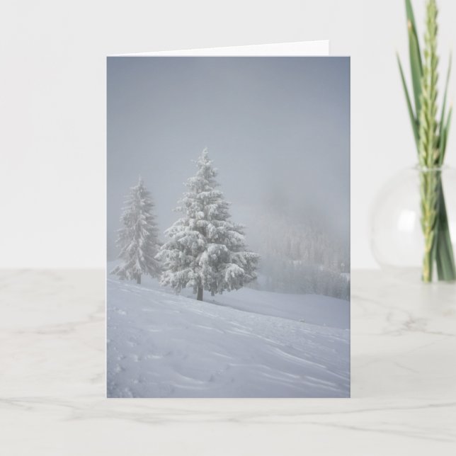 Cartão De Festividades Winter Scenery (Frente)