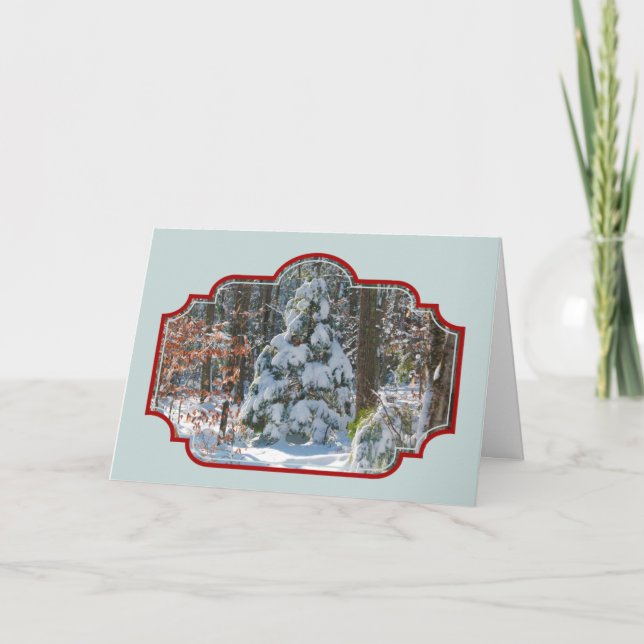 Cartão De Festividades Winter Scenery Snow-Covered Evergreen Christmas (Frente)