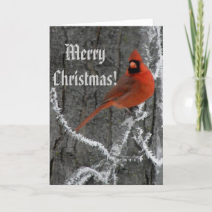 Cartão De Festividades Winter Solstice Greetings