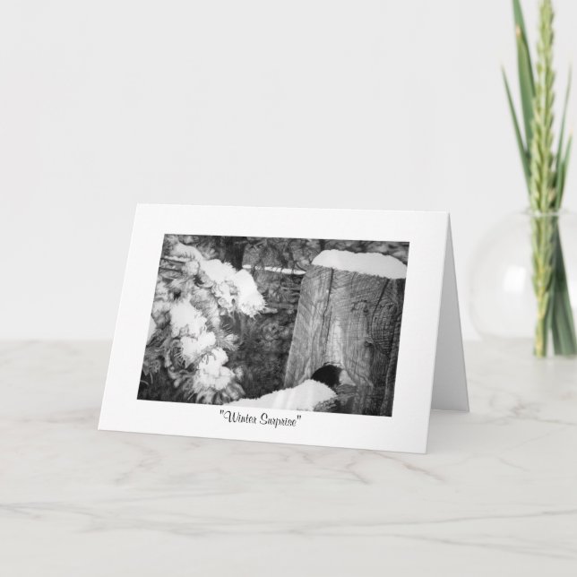 Cartão De Festividades "Winter Surprise" (Frente)