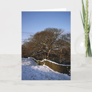 Cartão De Festividades Winter Tree Lyme Handley Cheshire