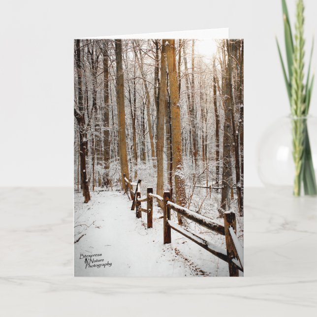 Cartão De Festividades Winter Walk (5.0) (Frente)