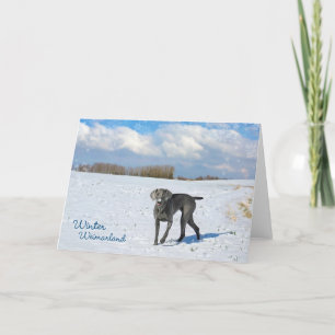 Cartão De Festividades Winter Weimarland