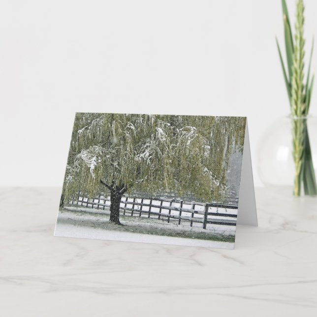 Cartão De Festividades Winter Willow (Frente)