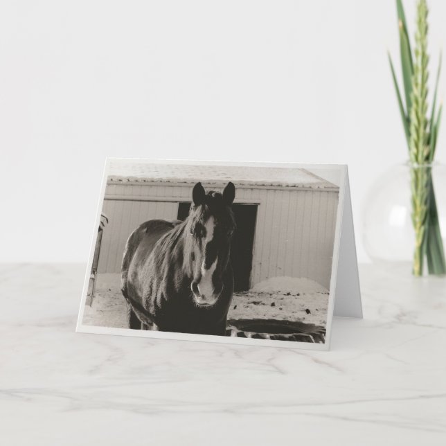 Cartão De Festividades Winter Willy (Frente)