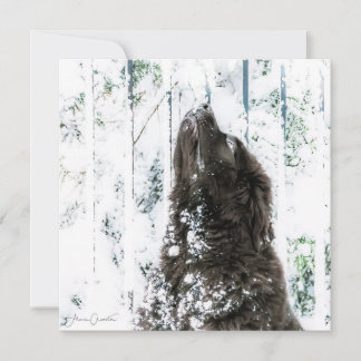 Cartão De Festividades Winter Wonderland