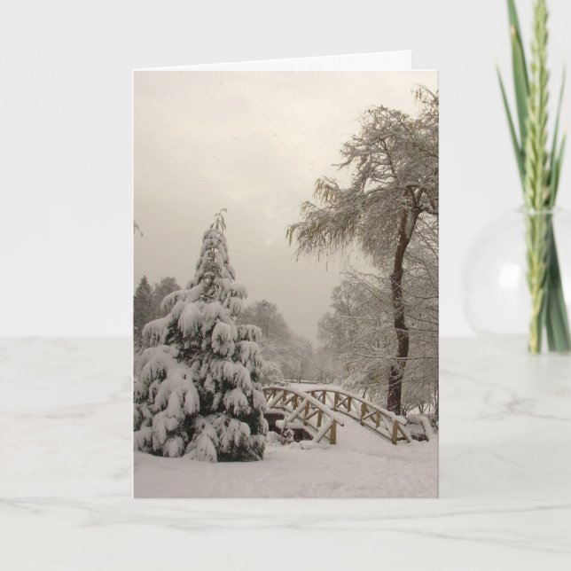 Cartão De Festividades Winter Wonderland Cards Seasons Greetings Cards (Frente)