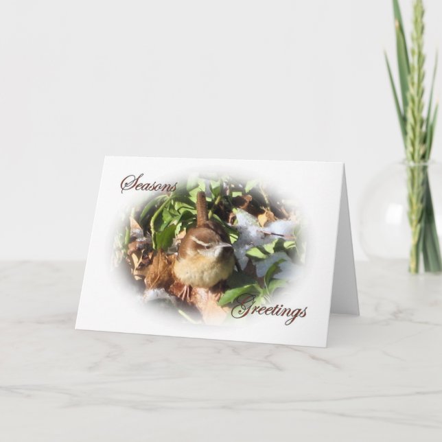 Cartão De Festividades Winter Wren (Frente)