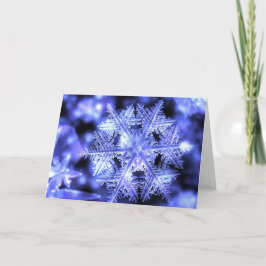 Cartão De Festividades Winterborn Christmas Card