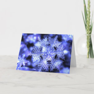 Cartão De Festividades Winterborn Christmas Card