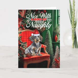 Cartão De Festividades Wirehair Dachshund Natal Cachorro Bela