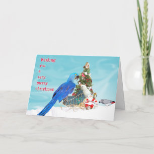 Cartão De Festividades Wishing You