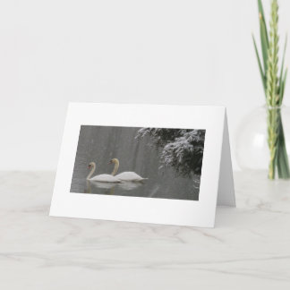 Cartão De Festividades Wishing You A Very Merry Christmas