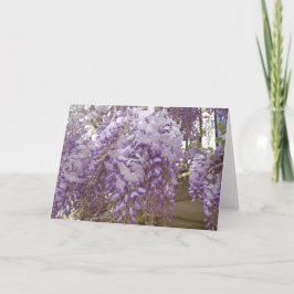 Cartão De Festividades Wisteria Francesa