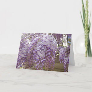 Cartão De Festividades Wisteria Francesa