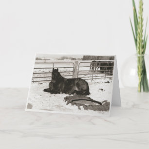 Cartão De Festividades Wonder de inverno