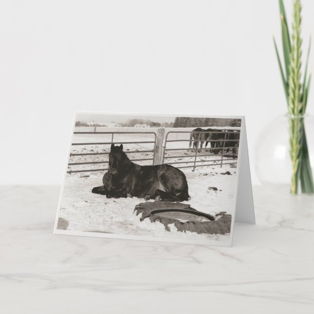 Cartão De Festividades Wonder de inverno (Frente)